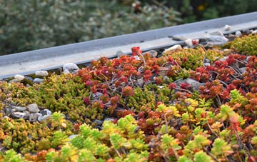 the cost of Midgham Green green roof installation