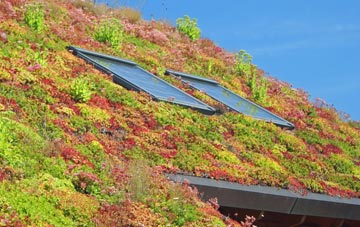 Midgham Green living roof systems